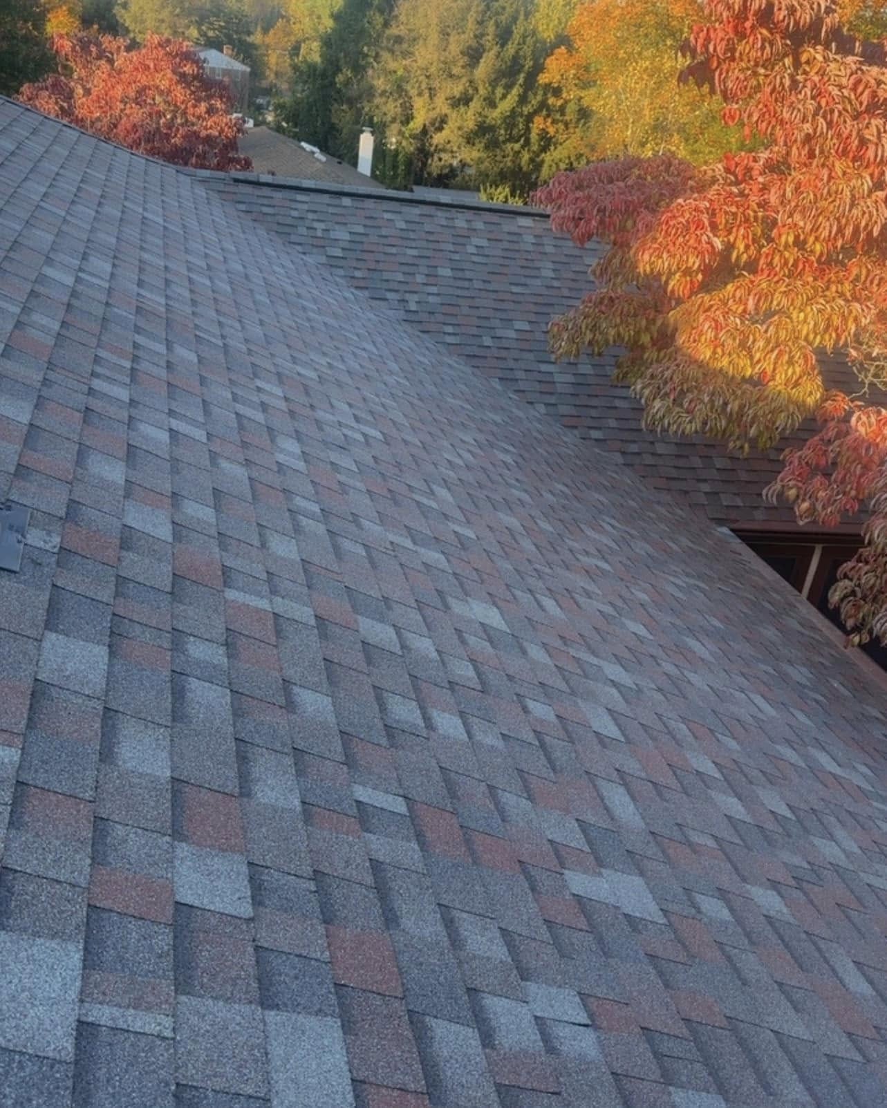 Supreme Restorations Maryland project 38